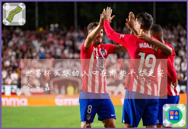 世界杯买球的入口在哪些平台更安全可靠