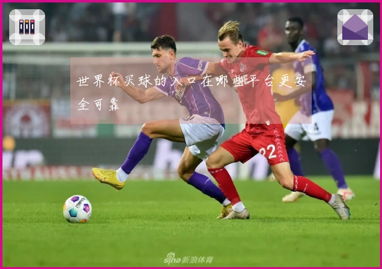 世界杯买球的入口在哪些平台更安全可靠