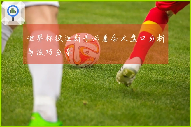 世界杯投注新手必看各大盘口分析与技巧分享