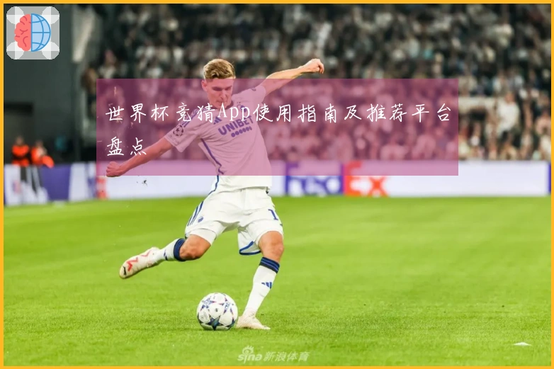 世界杯竞猜App使用指南及推荐平台盘点